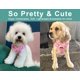 thumbnail image 4 of Arnés para perros SuperBuddy, malla suave mejorada, rosa, tamaño pequeño, 4 of 8