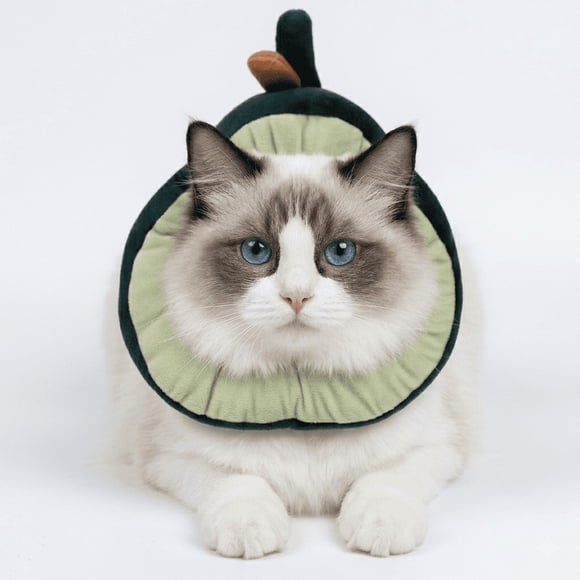 Collar isabelino forma de palta Hey!