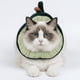 thumbnail image 1 of Collar isabelino forma de palta Hey!, 1 of 5