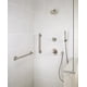thumbnail image 2 of Ducha De Mano Trinsic Con Un Solo Rociador Montaje En Pared 55085 Ss, 2 of 3