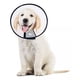 thumbnail image 1 of Collar Isabelino para perros o gatos talla 3 29, 1 of 2