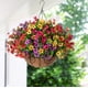 thumbnail image 2 of Cesta colgante artificial con plantas y flores HyeFlora Daisy, 2 of 8