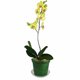 thumbnail image 2 of Macetas para orquídeas rePotme de 3" con ranuras, paquete de 3, color verde, 2 of 4