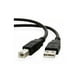 thumbnail image 3 of Cable Impresora Hp Dhc-pt100-1m Usb-a To Usb-b V2.0, 3 of 3