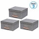 thumbnail image 1 of Pack 3 Cajas Organizadoras Plegables Carry All Organización Closet Ropa Accesorios, 1 of 8
