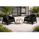 thumbnail image 4 of Sillón Individual Exterior Negro 72x65x78 cm Plástico Alta Resistencia, 4 of 14