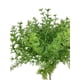 thumbnail image 2 of Planta Decorativa Perejil 30cm Artificial, 2 of 3