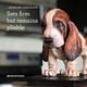 thumbnail image 5 of Cachorro de chocolate satinado para modelar, color verde, 454 g, 5 of 7