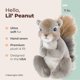 thumbnail image 2 of Peluche Bearington Lil' Peanut The Squirrel, 18 cm, 2 of 6