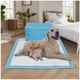 thumbnail image 3 of Sabanillas para Perros 60x60 cm PetsCool 50 Unidades 6 Capas Ultra Absorbentes, 3 of 6
