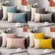 thumbnail image 2 of Paquete de fundas de almohada ligeras de lujo, cojín de terciopelo holandés para mesita de noche, cojín de sofá de terciopelo, almohada lumbar, diseño unilateral, 45 x 45, 30 x 50, 2 of 5