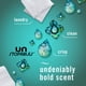 thumbnail image 4 of Aerosol ambientador Febreze Air Mist Unstopables 240 ml x6, 4 of 9