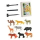 thumbnail image 4 of Kits De Excavación De Descubrimiento De Arqueología, Kits De Aprendizaje De Ciencias Para Niños, Animales Del Bosque, 4 of 4