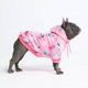 thumbnail image 1 of Suéter con capucha para perro Spark Paws, ultra suave, 1 of 6