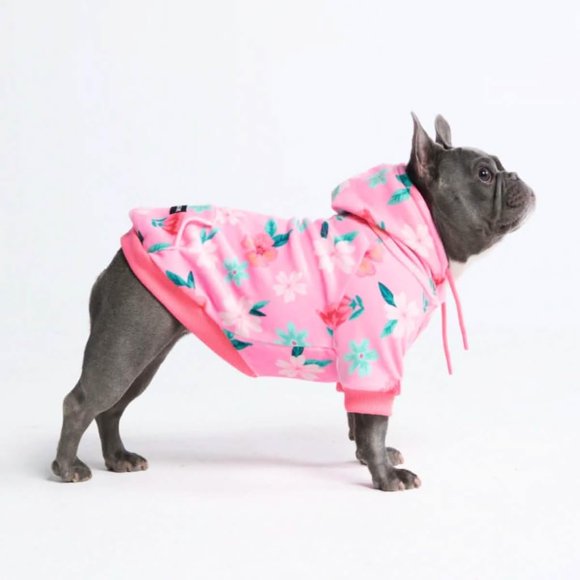 Suéter con capucha para perro Spark Paws, ultra suave