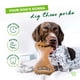 thumbnail image 4 of Juguete masticable para perros Benebone Dental duradero para masticadores agresivos, 4 of 7