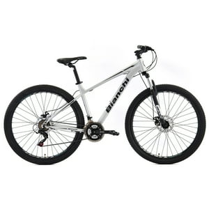 Bicicleta Bianchi Stone Mountain 29 Sx Alloy Pla Semi Matte