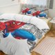 thumbnail image 2 of Spiderman Birthday Comforter Set for Kids Boys Teen Men Tween 3D Lightweight Microfiber Bedding Sets, 2 of 4