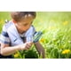 thumbnail image 5 of Chaleco y sombrero Costume Explorer para niños, Backyard Safari, 5 of 8