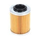 thumbnail image 3 of Filtro Aceite Para Cf Moto Atv 450/550/800/1000 Original, 3 of 5