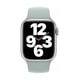 thumbnail image 3 of Correa de reloj Apple Sport Band Succulent de 41 mm para Apple Watch, 3 of 3