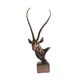 thumbnail image 1 of Escultura De Cabeza De Antílope, Adorno Moderno Y Creativo Para Dormitorio, Porche O Chimenea, Bronce., 1 of 5