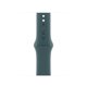 thumbnail image 1 of Correa deportiva para Apple Watch de 40 mm, verde lago, M/L, 1 of 3