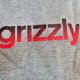 thumbnail image 2 of Poleron Hoodie Hombre Grizzly Griptape Lowercase Fadeaway Gris, 2 of 4