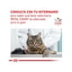 thumbnail image 5 of Royal Canin Urinary S/o Feline 400gr, 5 of 9