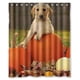 thumbnail image 1 of Cortina de ducha con diseño de cachorro de calabaza, con ganchos, 60 x 72 pulgadas, 1 of 3