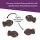 thumbnail image 2 of Suplementos Para Gatos Vetri Lysine Plus 120 Masticables, 2 of 5