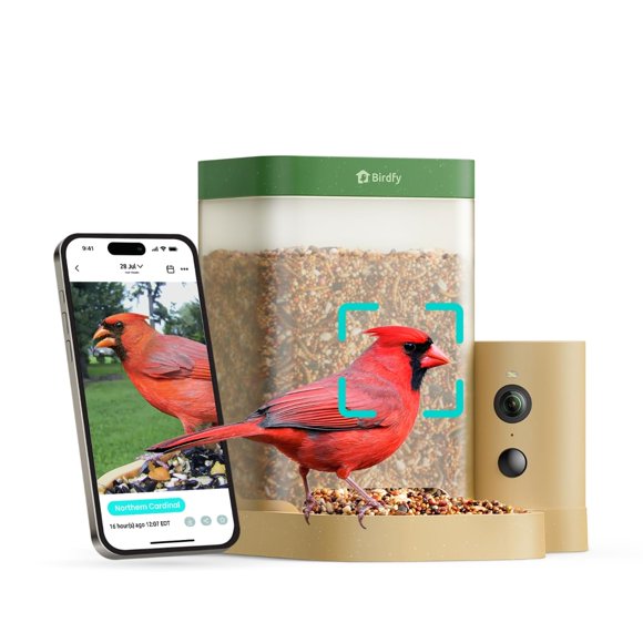 Comedero Inteligente para Pájaros Birdfy Rookie con Cámara y Visión Nocturna