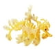 thumbnail image 5 of Figuras De Animales Marinos Modelo De Dragón Marino Manualidades Para Regalos De Cumpleaños Niños Pequeños Amarillo, 5 of 5