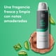 thumbnail image 4 of Desodorante Aerosol Dove Hombre All Body Aloe Bamboo Hombre, 150 ml, 4 of 5
