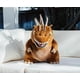 thumbnail image 5 of Peluche Surreal Entertainment Godzilla Chibi 50 cm, 5 of 9