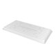 thumbnail image 2 of Bandeja PLANTER SUNPACK 25x51 cm Blanca 1" (paquete de 10), 2 of 4