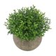thumbnail image 2 of Planta Artificial Ogrmar de 12 cm con Hoja Verde en Maceta, 2 of 5