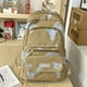 thumbnail image 1 of Stylish Bear Print School Bag - Large Capacity Travel Backpack for Everyday Use, 1 of 5
