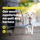 thumbnail image 2 of Arnés para perros PetSafe Easy Walk Comfort No-Pull Green XS, 2 of 8