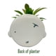 thumbnail image 5 of Mini planta suculenta decorativa RALME Mandalorian Baby Yoda, 5 of 6