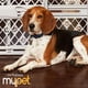 thumbnail image 5 of Pet Gate MYPET Paws, portátil, 23 cm de alto, 66 a 101 cm de ancho, fabricado en EE. UU., 5 of 6
