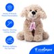 thumbnail image 4 of Peluche perro bailarina Scruffy de The Petting Zoo 25 cm, 4 of 8