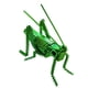 thumbnail image 2 of Estatuilla De Saltamontes, Escultura De Langosta Para Escritorio, Recuerdos De Decoración, 2 of 4