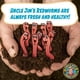 thumbnail image 4 of Lombrices para compostaje Uncle Jim's Worm Farm Red Wiggler, 250 unidades, 4 of 7