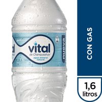 Agua Mineral Con Gas Botella 1,6 L Vital