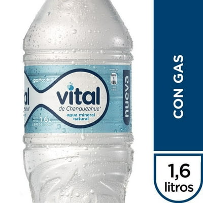 Agua Mineral Con Gas Botella 1,6 L Vital