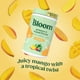 thumbnail image 3 of Suplemento Superfood Greens En Polvo 15 Svg, 3 of 3