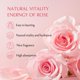 thumbnail image 3 of Essence DERMALOGY de Neogen Hyal Glow Rose 160 ml con rosa de damasco, 3 of 9