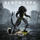 thumbnail image 2 of Building Blocks Set ItsHwoee Xenomorph con figura de acción, 2 of 3