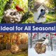thumbnail image 5 of Bola nido para aves de lana de alpaca – Backyard Essentials, 5 of 6